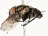  ( - CBG-A54405-A06)  @11 [ ] CreativeCommons - Attribution Share - Alike (2024) CBG Photography Group Centre for Biodiversity Genomics