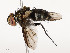  ( - CBG-A54406-A01)  @11 [ ] CreativeCommons - Attribution Share - Alike (2024) CBG Photography Group Centre for Biodiversity Genomics