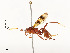 ( - CBG-A54406-D11)  @11 [ ] CreativeCommons - Attribution Share - Alike (2024) CBG Photography Group Centre for Biodiversity Genomics