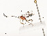  ( - CBG-A54406-F01)  @11 [ ] CreativeCommons - Attribution Share - Alike (2024) CBG Photography Group Centre for Biodiversity Genomics