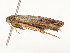  ( - CBG-A54407-E08)  @11 [ ] CreativeCommons - Attribution Share - Alike (2024) CBG Photography Group Centre for Biodiversity Genomics