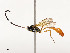  ( - CBG-A54408-A12)  @11 [ ] CreativeCommons - Attribution Share - Alike (2024) CBG Photography Group Centre for Biodiversity Genomics