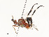  ( - CBG-A54408-C06)  @11 [ ] CreativeCommons - Attribution Share - Alike (2024) CBG Photography Group Centre for Biodiversity Genomics