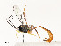  ( - CBG-A54408-G04)  @11 [ ] CreativeCommons - Attribution Share - Alike (2024) CBG Photography Group Centre for Biodiversity Genomics
