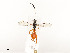  ( - CBG-A54408-G07)  @11 [ ] CreativeCommons - Attribution Share - Alike (2024) CBG Photography Group Centre for Biodiversity Genomics