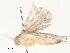  ( - CBG-A54481-A10)  @11 [ ] CreativeCommons - Attribution Share - Alike (2024) CBG Photography Group Centre for Biodiversity Genomics