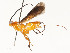  ( - CBG-A54481-E06)  @11 [ ] CreativeCommons - Attribution Share - Alike (2024) CBG Photography Group Centre for Biodiversity Genomics
