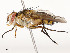 ( - CBG-A54482-C11)  @11 [ ] CreativeCommons - Attribution Share - Alike (2024) CBG Photography Group Centre for Biodiversity Genomics