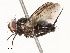  ( - CBG-A54482-D05)  @11 [ ] CreativeCommons - Attribution Share - Alike (2024) CBG Photography Group Centre for Biodiversity Genomics