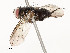  ( - CBG-A54482-E07)  @11 [ ] CreativeCommons - Attribution Share - Alike (2024) CBG Photography Group Centre for Biodiversity Genomics