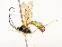  ( - CBG-A54482-F09)  @11 [ ] CreativeCommons - Attribution Share - Alike (2024) CBG Photography Group Centre for Biodiversity Genomics
