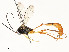  ( - CBG-A54482-F12)  @11 [ ] CreativeCommons - Attribution Share - Alike (2024) CBG Photography Group Centre for Biodiversity Genomics