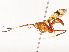  ( - CBG-A54482-H01)  @11 [ ] CreativeCommons - Attribution Share - Alike (2024) CBG Photography Group Centre for Biodiversity Genomics