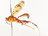  ( - CBG-A54482-H04)  @11 [ ] CreativeCommons - Attribution Share - Alike (2024) CBG Photography Group Centre for Biodiversity Genomics