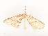  ( - CBG-A54483-A01)  @11 [ ] CreativeCommons - Attribution Share - Alike (2024) CBG Photography Group Centre for Biodiversity Genomics