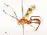  ( - CBG-A54483-D05)  @11 [ ] CreativeCommons - Attribution Share - Alike (2024) CBG Photography Group Centre for Biodiversity Genomics