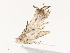  ( - CBG-A54497-A03)  @11 [ ] CreativeCommons - Attribution Share - Alike (2024) CBG Photography Group Centre for Biodiversity Genomics