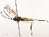  ( - CBG-A54498-C05)  @11 [ ] CreativeCommons - Attribution Share - Alike (2024) CBG Photography Group Centre for Biodiversity Genomics