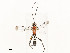  ( - CBG-A54498-D12)  @11 [ ] CreativeCommons - Attribution Share - Alike (2024) CBG Photography Group Centre for Biodiversity Genomics