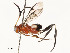  ( - CBG-A54498-E10)  @11 [ ] CreativeCommons - Attribution Share - Alike (2024) CBG Photography Group Centre for Biodiversity Genomics