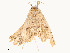  ( - CBG-A54498-G05)  @11 [ ] CreativeCommons - Attribution Share - Alike (2024) CBG Photography Group Centre for Biodiversity Genomics