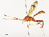  ( - CBG-A54499-A06)  @11 [ ] CreativeCommons - Attribution Share - Alike (2024) CBG Photography Group Centre for Biodiversity Genomics