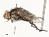  ( - CBG-A54499-D07)  @11 [ ] CreativeCommons - Attribution Share - Alike (2024) CBG Photography Group Centre for Biodiversity Genomics