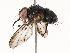  ( - CBG-A58709-G02)  @11 [ ] CreativeCommons - Attribution Share - Alike (2025) CBG Photography Group Centre for Biodiversity Genomics