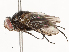  ( - CBG-A58710-H03)  @11 [ ] CreativeCommons - Attribution Share - Alike (2025) CBG Photography Group Centre for Biodiversity Genomics