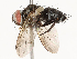  ( - CBG-A58710-H04)  @11 [ ] CreativeCommons - Attribution Share - Alike (2025) CBG Photography Group Centre for Biodiversity Genomics