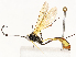  ( - CBG-A58711-E11)  @11 [ ] CreativeCommons - Attribution Share - Alike (2025) CBG Photography Group Centre for Biodiversity Genomics