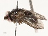  ( - CBG-A62873-B04)  @11 [ ] CreativeCommons - Attribution Share - Alike (2025) CBG Photography Group Centre for Biodiversity Genomics