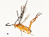  ( - CBG-A62873-F02)  @11 [ ] CreativeCommons - Attribution Share - Alike (2025) CBG Photography Group Centre for Biodiversity Genomics