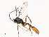  ( - CBG-A62874-H01)  @11 [ ] CreativeCommons - Attribution Share - Alike (2025) CBG Photography Group Centre for Biodiversity Genomics