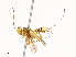  ( - CBG-A62918-H02)  @11 [ ] CreativeCommons - Attribution Share - Alike (2025) CBG Photography Group Centre for Biodiversity Genomics