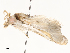  ( - CBG-A65358-E11)  @11 [ ] CreativeCommons - Attribution Share - Alike (2025) CBG Photography Group Centre for Biodiversity Genomics