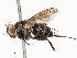  ( - CBG-A65359-B08)  @11 [ ] CreativeCommons - Attribution Share - Alike (2025) CBG Photography Group Centre for Biodiversity Genomics