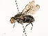  ( - CBG-A65359-F07)  @11 [ ] CreativeCommons - Attribution Share - Alike (2025) CBG Photography Group Centre for Biodiversity Genomics