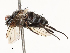  ( - CBG-A65360-D08)  @11 [ ] CreativeCommons - Attribution Share - Alike (2025) CBG Photography Group Centre for Biodiversity Genomics