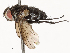  ( - CBG-A65360-E01)  @11 [ ] CreativeCommons - Attribution Share - Alike (2025) CBG Photography Group Centre for Biodiversity Genomics
