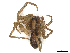  ( - CBG-A65360-H07)  @11 [ ] CreativeCommons - Attribution (2025) CBG Photography Group Centre for Biodiversity Genomics