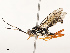  ( - CBG-B17168-G12)  @11 [ ] CreativeCommons - Attribution Share - Alike (2025) CBG Photography Group Centre for Biodiversity Genomics