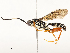  ( - CBG-B17172-F08)  @11 [ ] CreativeCommons - Attribution Share - Alike (2025) CBG Photography Group Centre for Biodiversity Genomics