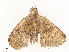  ( - CBG-A58618-C09)  @11 [ ] CreativeCommons - Attribution Share - Alike (2025) CBG Photography Group Centre for Biodiversity Genomics