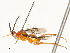  ( - CBG-A58619-G10)  @11 [ ] CreativeCommons - Attribution Share - Alike (2025) CBG Photography Group Centre for Biodiversity Genomics