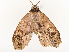  ( - CBG-A59486-A08)  @11 [ ] CreativeCommons - Attribution Share - Alike (2025) CBG Photography Group Centre for Biodiversity Genomics