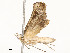  ( - CBG-A59487-E10)  @11 [ ] CreativeCommons - Attribution Share - Alike (2025) CBG Photography Group Centre for Biodiversity Genomics