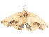  ( - CBG-A59487-F01)  @11 [ ] CreativeCommons - Attribution Share - Alike (2025) CBG Photography Group Centre for Biodiversity Genomics