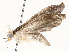  ( - CBG-A59487-F09)  @11 [ ] CreativeCommons - Attribution Share - Alike (2025) CBG Photography Group Centre for Biodiversity Genomics