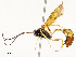  ( - CBG-A59487-H07)  @11 [ ] CreativeCommons - Attribution Share - Alike (2025) CBG Photography Group Centre for Biodiversity Genomics